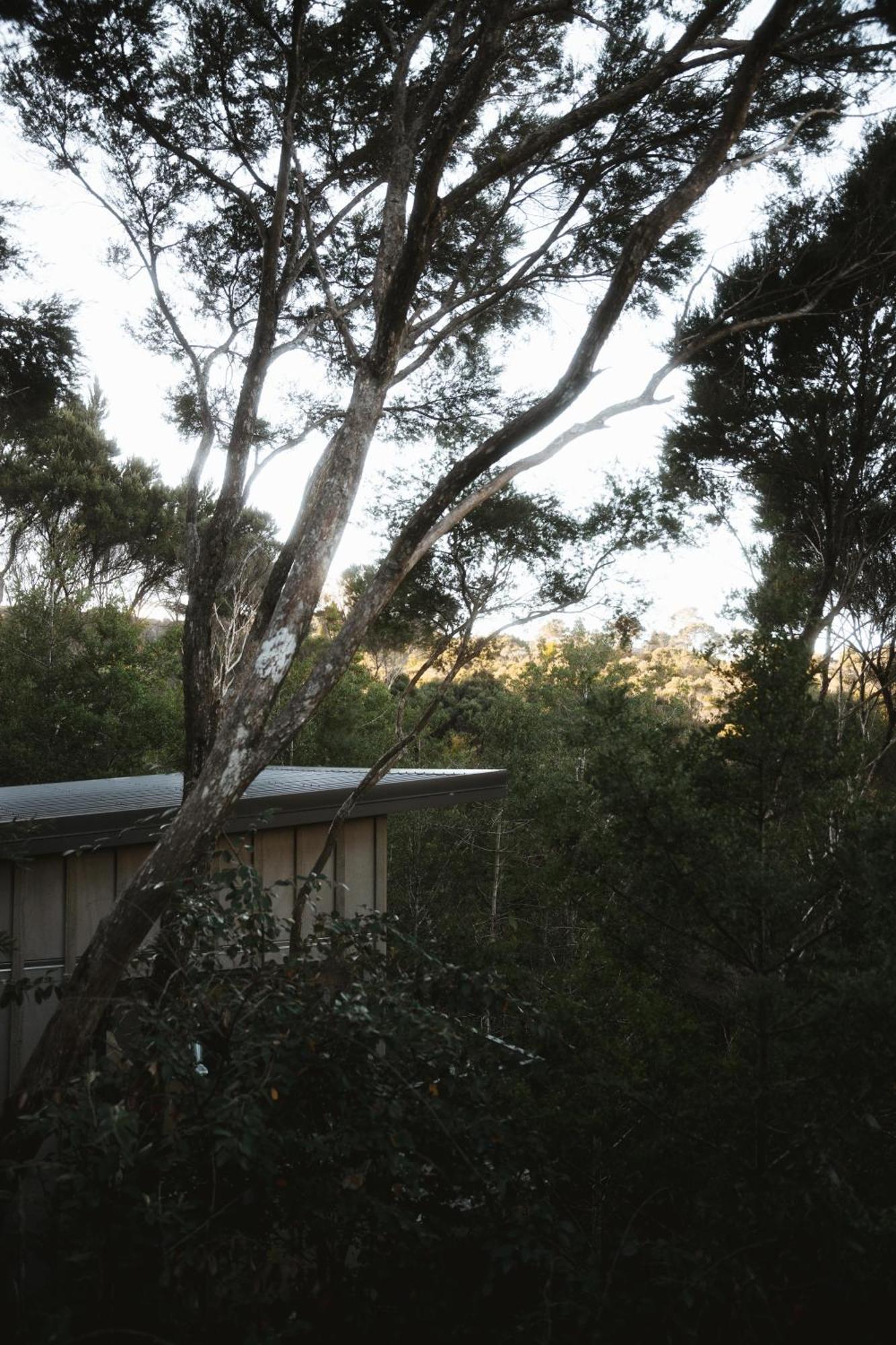 Treehouse Hideaway At Rekindle Tree Houses Opua Exterior foto